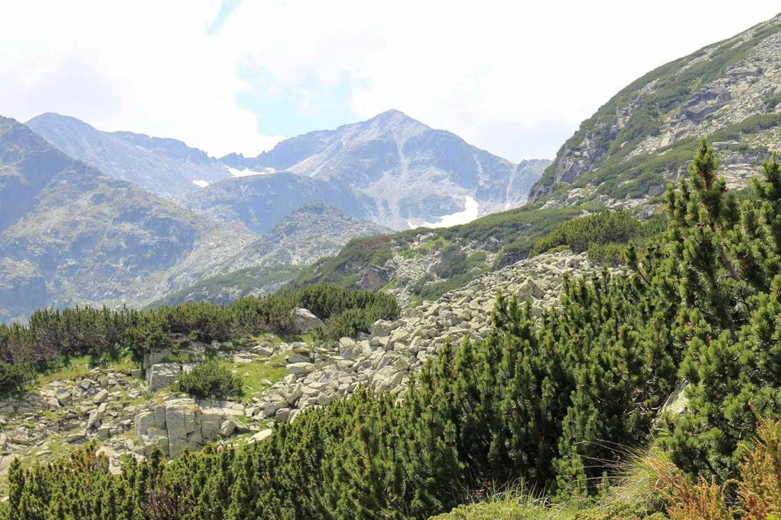 IMG_20180721_150316_681